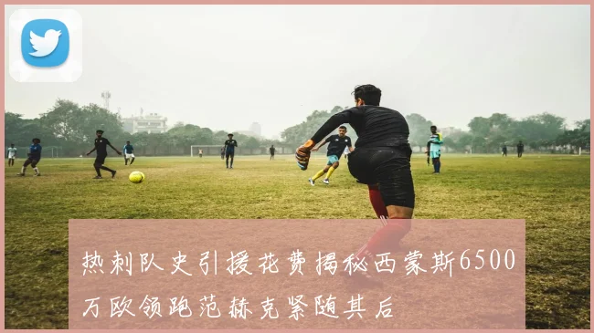 热刺队史引援花费揭秘西蒙斯6500万欧领跑范赫克紧随其后