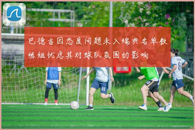 巴德吉因态度问题未入瑞典名单教练组忧虑其对球队氛围的影响