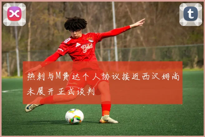 热刺与M费达个人协议接近西汉姆尚未展开正式谈判